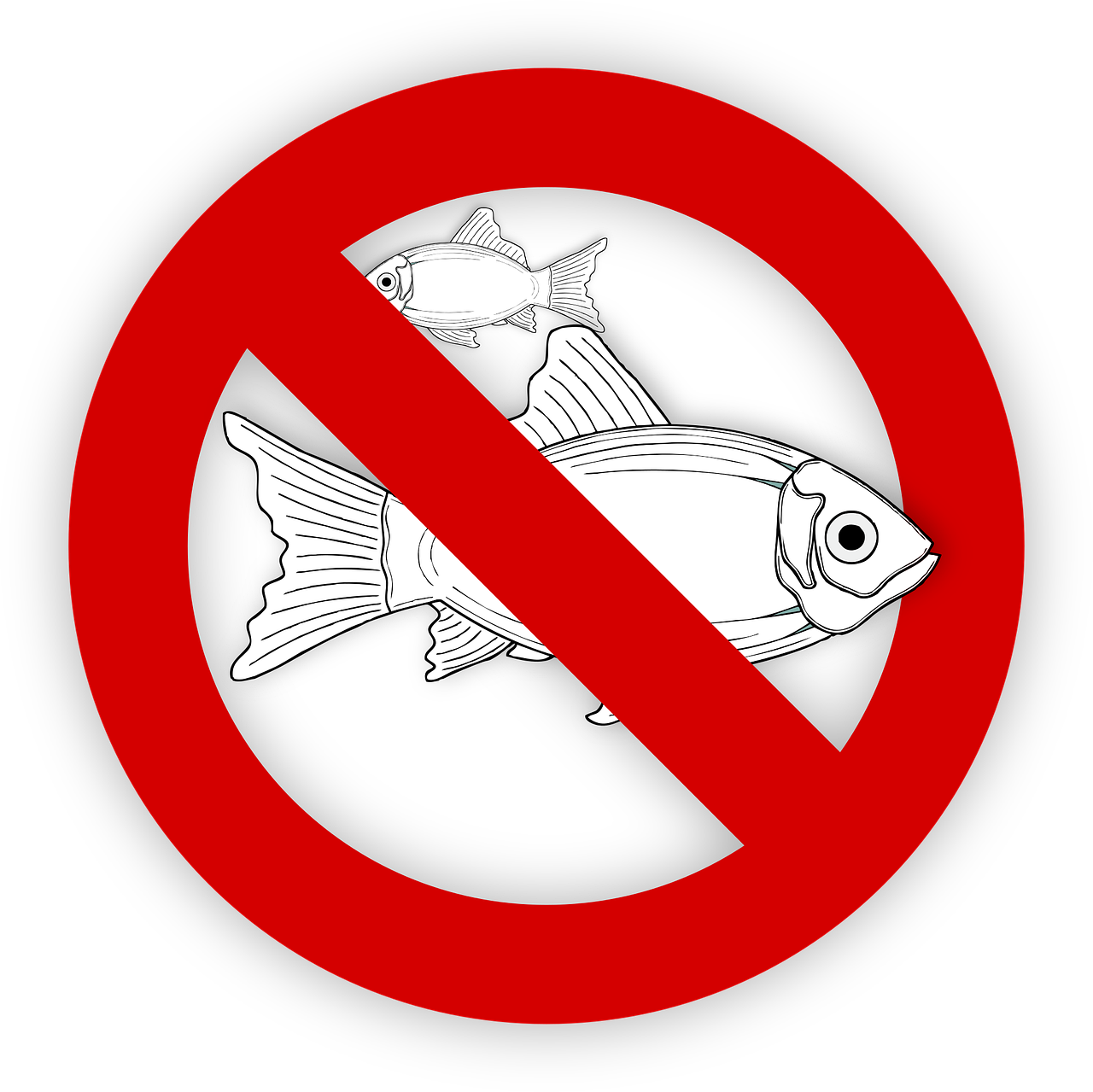 pixabay-995050-54.png